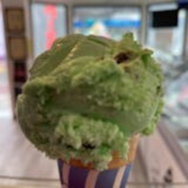 Mint Chocolate Chip Ice Cream.